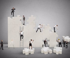 Construction of a new and collaborative team