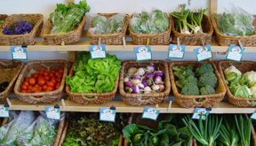 Alimentos-sostenibles