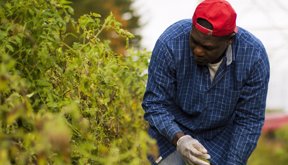 agricultores-bloomberg