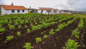 Vivienda-rural
