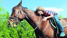 The boy is riding a horse in the park. Sunny summer day.
