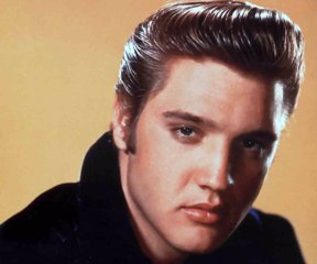 elvis