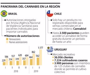 Globo_PanoramaCannabis_p34_Lunes