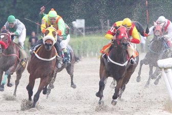 caballos0215-612