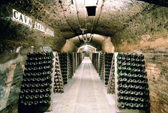 vino0227-1000