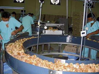 avicultores0502-1000