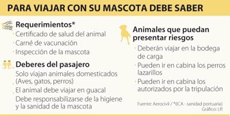 perros0505-1000