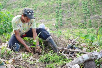 proyeccion0516-1000