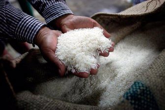 arroz0706-1000