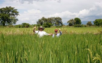 cultivo0706-1000