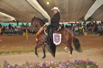 caballos0709-1000