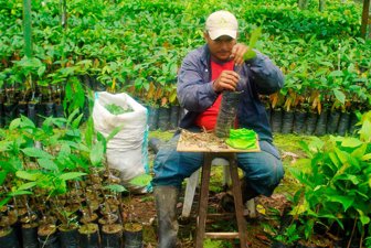cacao0730-1000
