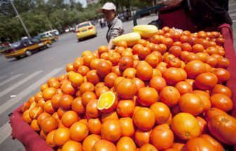 citricos0901-100
