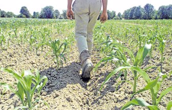 agricultores0912-1000