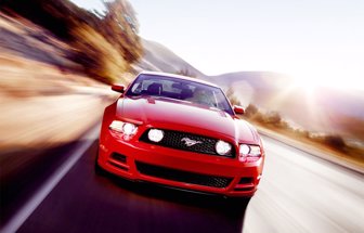 mustang1005-1000