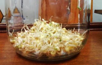 raices1010-1000