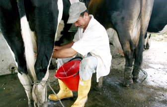 leche1024-1000