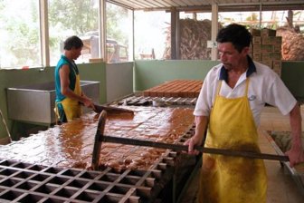 Panela