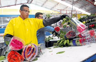 certificados0529-1000