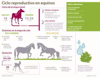 equinos0814-1000