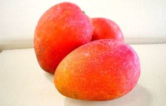 mango0814-1000