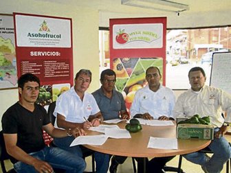 aguacate0909-1000