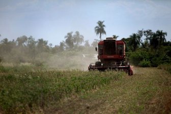 agro