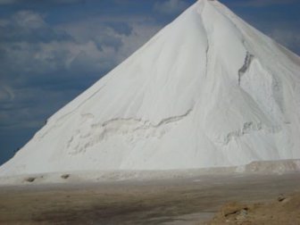 minas salinas