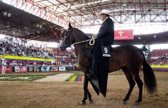 caballoscamp1113-1000
