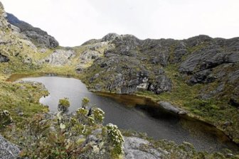COLP_VL_000208