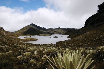 Santurbán