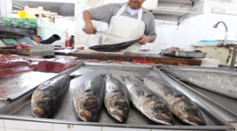 gestión pesca