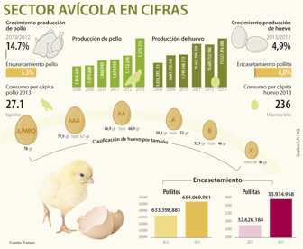 huevos0212-1000