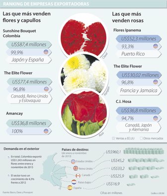 flores0214-1000