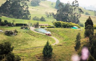 finca