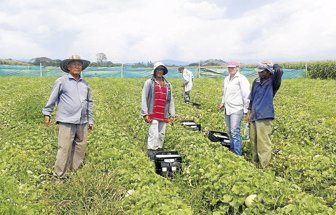 agricultories0625-1000