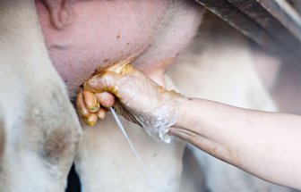 leche