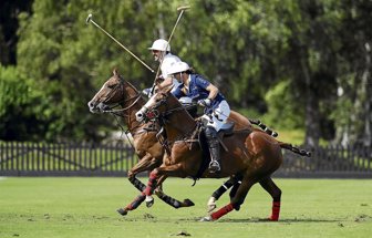 polo0913-1000