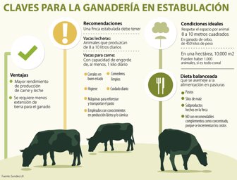 ganaderia0924-1000