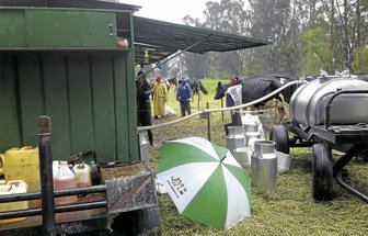 vacas1022-1000