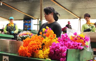 floricultores1028-1000