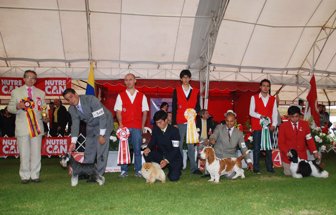 concursos