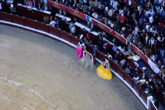 Toros