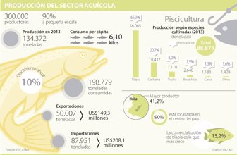 pescado0219-1000