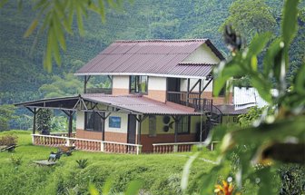 finca