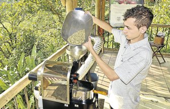 caficultura