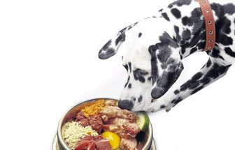 dieta