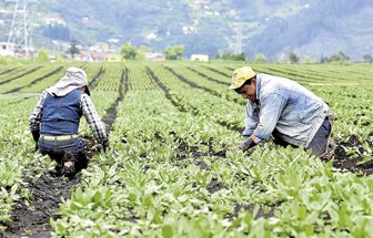 agroindustrial
