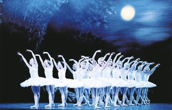 cisnes0711-1000