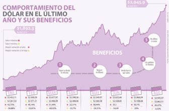 dolar0810-1000